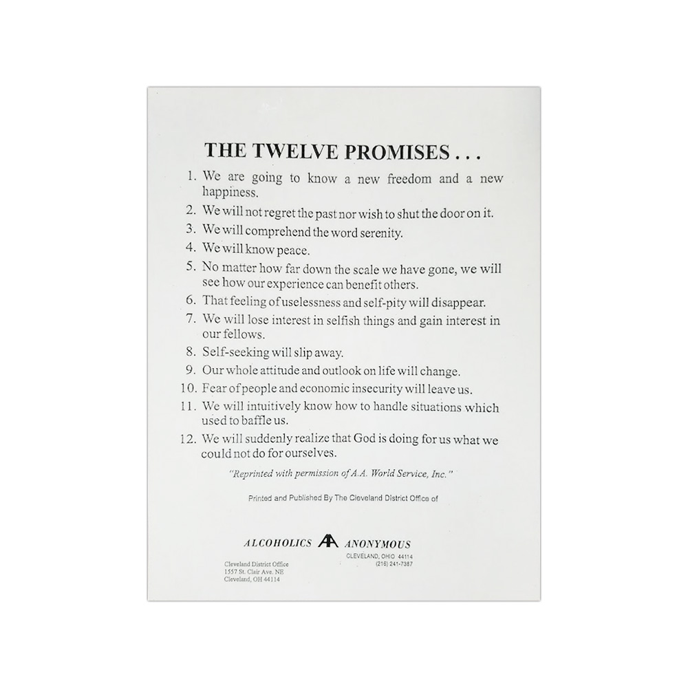 The Promises Aa Printable Printable Word Searches