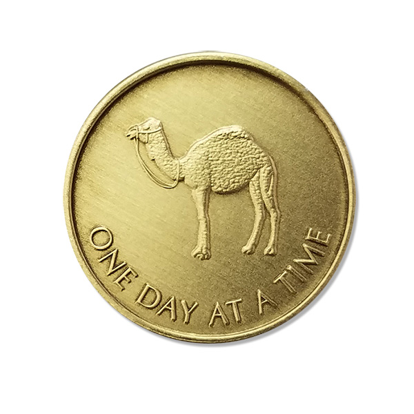 Camel Bronze Coin