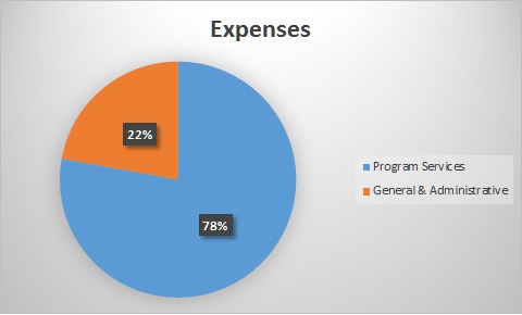 Aa Donations Pie Chart