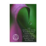 Through the Looking Glass Anniversary Card