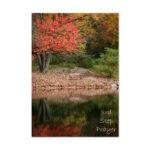 Divine Relections Card