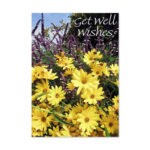 Springtime Daisies Card