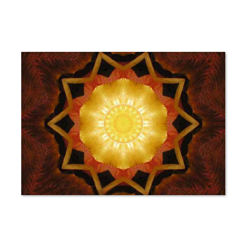 Beauty and Wonder of Life Card