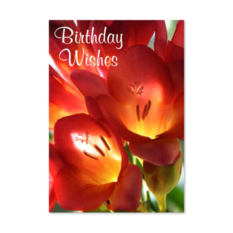 Radiance Within Card