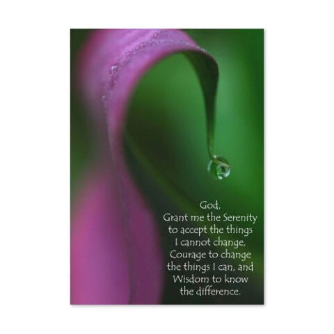 Through the Looking Glass Card