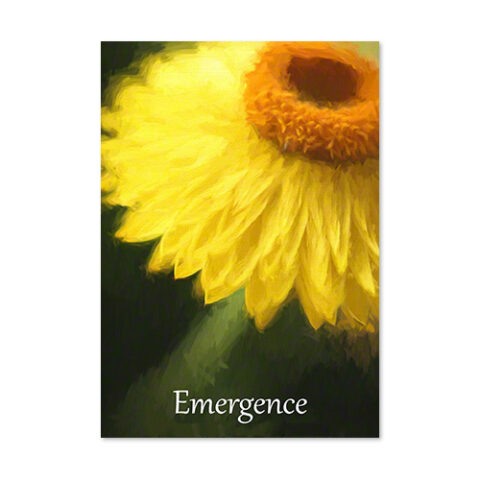 Emergence Card