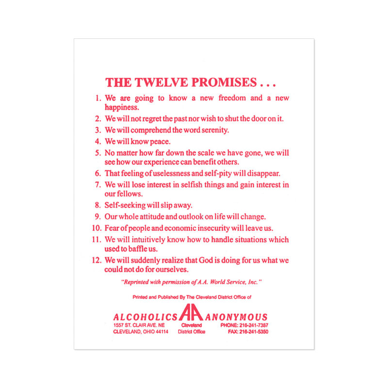 12 Promises (5.5 x 4.25)